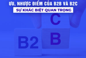 Ưu, nhược điểm của B2B và B2C – Sự khác biệt quan trọng